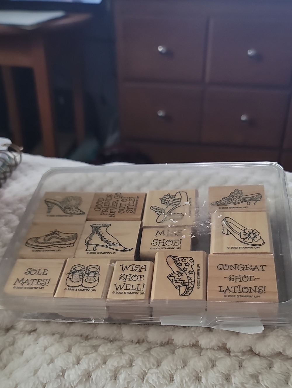 Steppin' Style" rubber stamp set featuring 13 shoe-themed designs on wood blocks